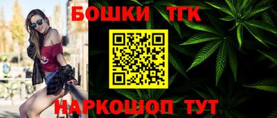 дживик Можга