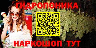 дживик Можга