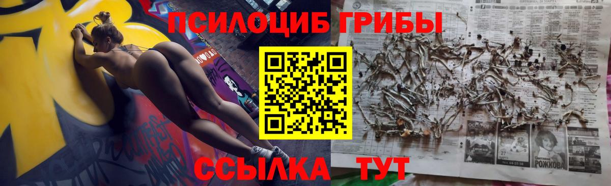 Галлюциногенные грибы мухоморы  Вход с VPN  Советск 